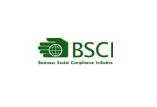 BSCI Logo